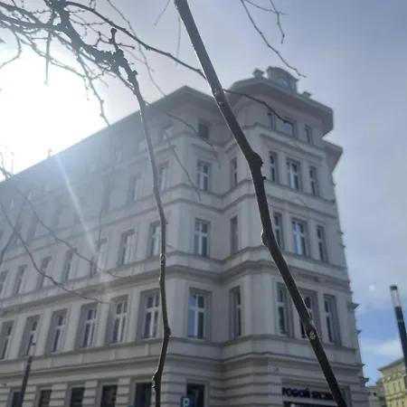 Gryf シュチェチン